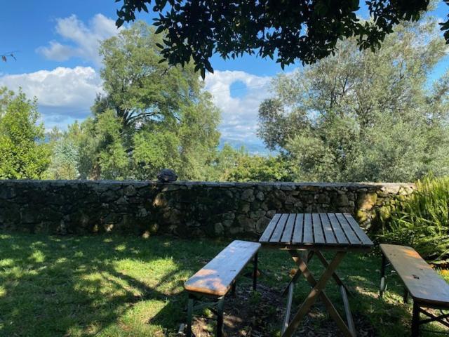 Villa Quinta Abelha Pico Esterno foto